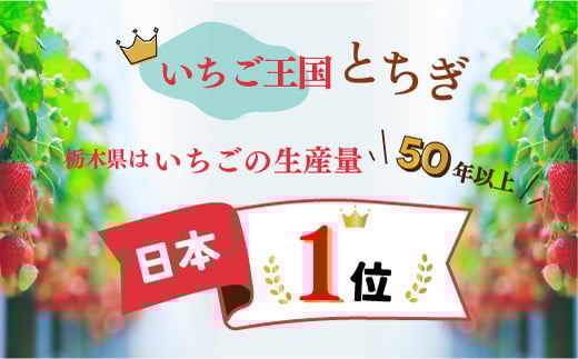 【先行予約】とちあいか 2箱 1.16kg（1箱(2パック入)×2） いちご 大粒 | ギフト 贈答 栃木県 宇都宮市 果物 フルーツ 苺 イチゴ 人気　※2025年1月上旬～3月上旬頃に順次発送予定