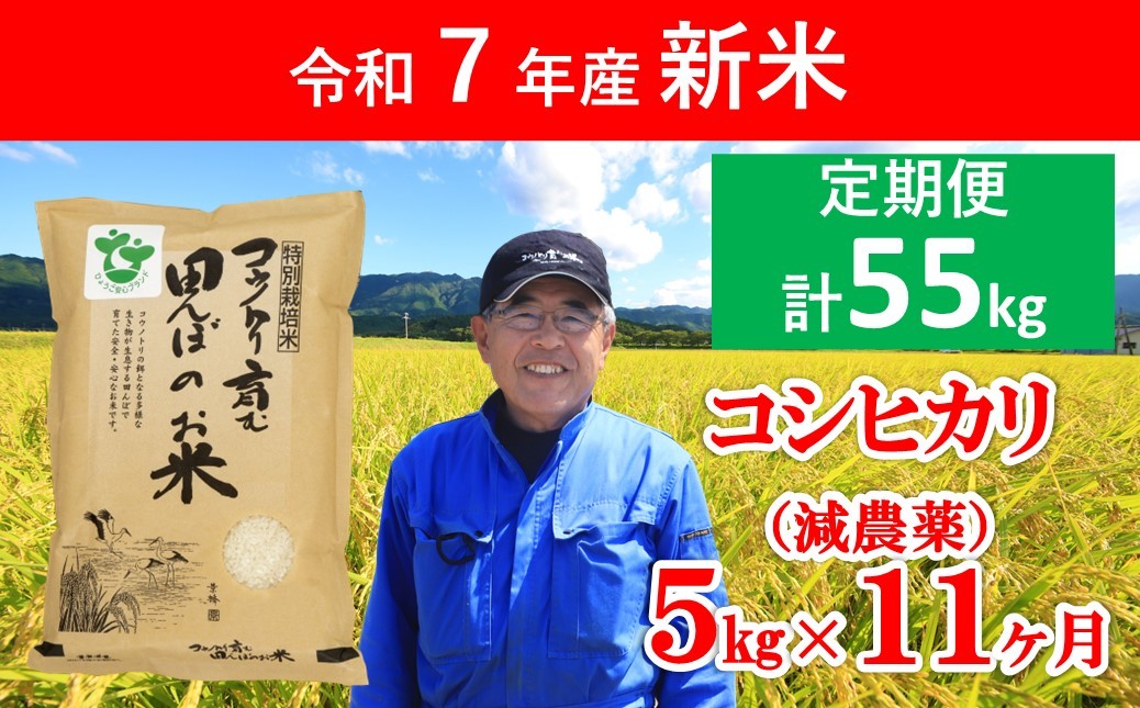 
                  令和8年産 新米 定期便 特別栽培米コシヒカリ 5㎏×11か月 【令和8年産 減農薬 特別栽培米 定期便 コシヒカリ コウノトリ 安心 安全 高リピート 人気 村上ファーム 】
                