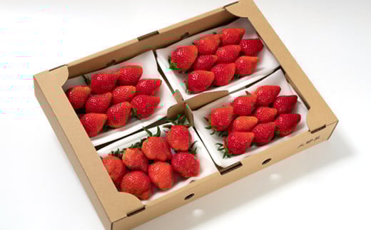 【先行予約】苺大野屋 やよいひめ 厳選いちご 250g×４パック 1kg 宮崎県西都市＜2-104＞苺 果物 くだもの フルーツ 1ｋｇ(250ｇ×4パック)【寄附額20,000円】