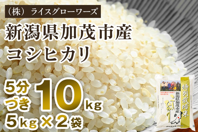 
                  【令和8年産新米先行予約】【5分づき】新潟県加茂市産 特別栽培米コシヒカリ 精米10kg（5kg×2）《10月上旬～順次出荷》 従来品種コシヒカリ （株）ライスグローワーズ
                