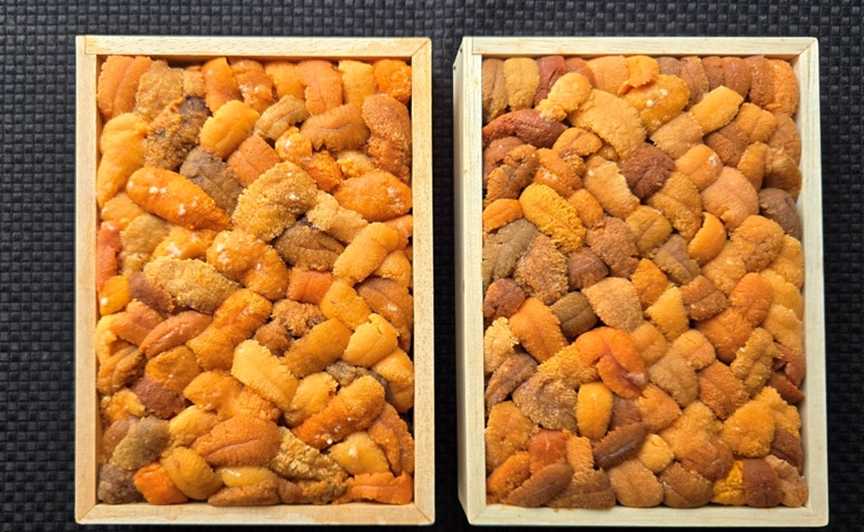 エゾバフンウニバラ詰め(赤系)約250g×1折[11月上旬以降発送] C-71028