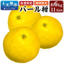 【ふるさと納税】【先行受付】【数量限定】パール柑 約6kg 11玉前後 ぱーるかん 柑橘 フルーツ 果物 くだもの 上天草市産 熊本県産 九州産 国産 送料無料 【2025年2月下旬から3月下旬順次発送】