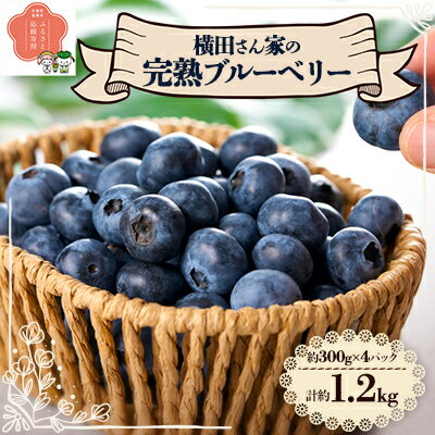 【ふるさと納税】横田さん家の完熟ブルーベリー　4パック【配送不可地域：離島・沖縄県】【1081409】