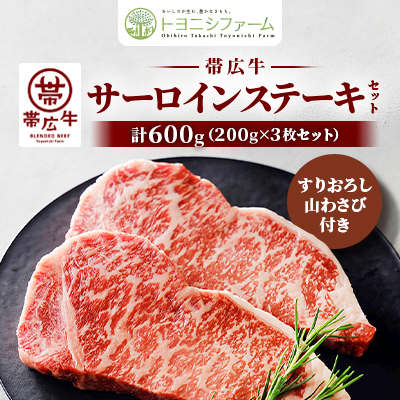 帯広牛 サーロイン ステーキ セット 計600g(200g×3枚)すりおろし山わさび付き【配送不可地域：離島】【1483765】