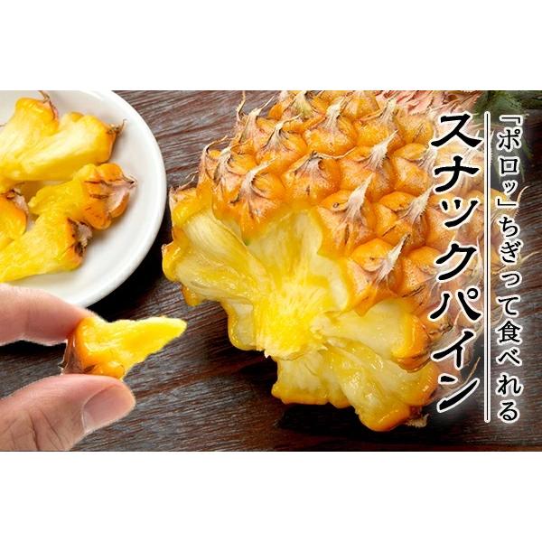 ふるさと納税 石垣市 <先行予約> 農家直送!石垣島産 スナックパイン 3玉入 約1.8kg (1.6〜2.0kg) <2