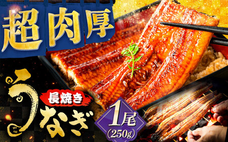 うなぎ うなぎの長焼き 1尾 [ANHH001] うなぎ