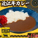 【ふるさと納税】 近江牛 レトルト カレー 160g×6～15袋セット 【 黒毛和牛 牛肉 960g ～ 2400g 肉 ギフト 自宅用 黒毛和牛 国産 近江 三大和牛 和牛 贈り物 内祝い 神戸牛 松阪牛 に並ぶ 日本三大和牛 滋賀県 竜王町 澤井牧場 送料無料 5000円以下 お買い物マラソン 】