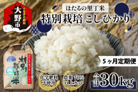 【先行予約】【令和8年産 新米】【5ヶ月定期便】ベストファーマー ほたるの里 特別栽培こしひかり 6kg（2kg×3） × 5回 計30kg 化学肥料不使用 農薬70％以上カット[J-002003]