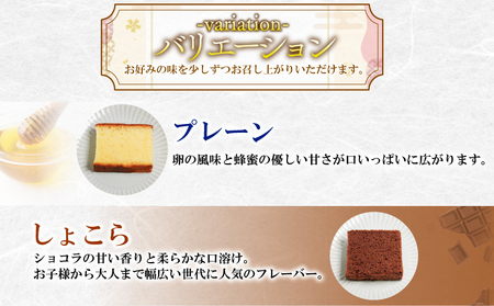 【ふるなびWEEK対象】カステラ 詰め合わせ 5種 15個 入り 個包装 本格 こだわり製法 和菓子 焼き菓子 贈答用