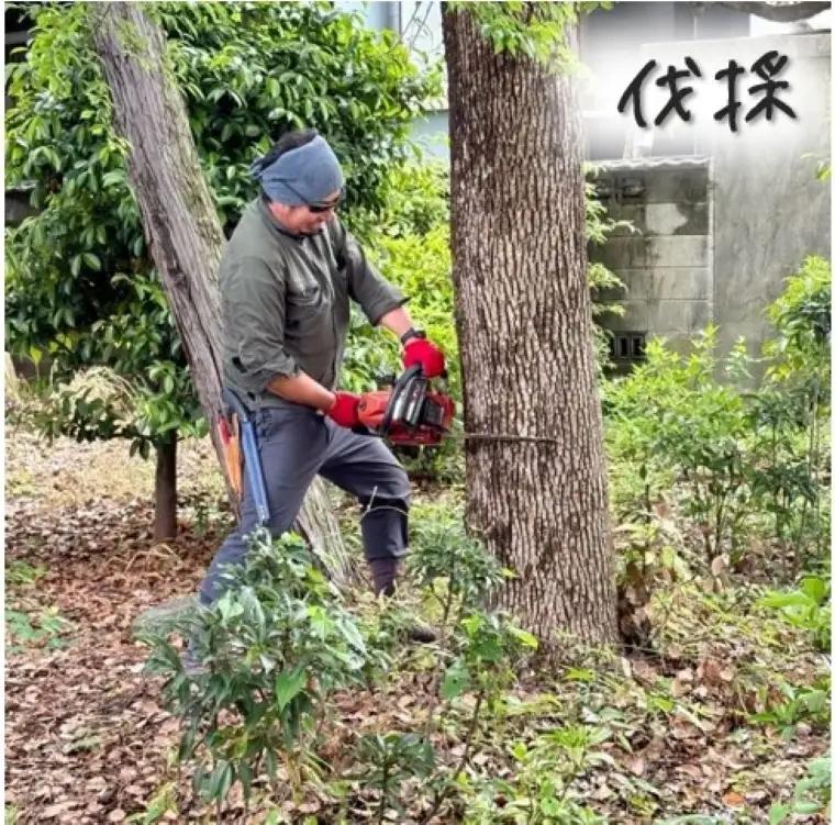 お庭のお手入れサービス（剪定・伐採・除草）30,000円分【蒲郡市内対象】_【G0782】