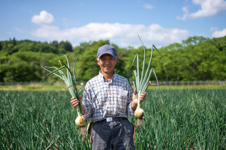 予約受付 たまねぎ 5kg さらき産【2026年7月発送開始】令和8年産 国産 玉ねぎ 玉葱 カレー シチュー 新鮮 フレッシュ オニオン サラダ BBQ 焼肉 野菜 Mサイズ Lサイズ 2Lサイズ 