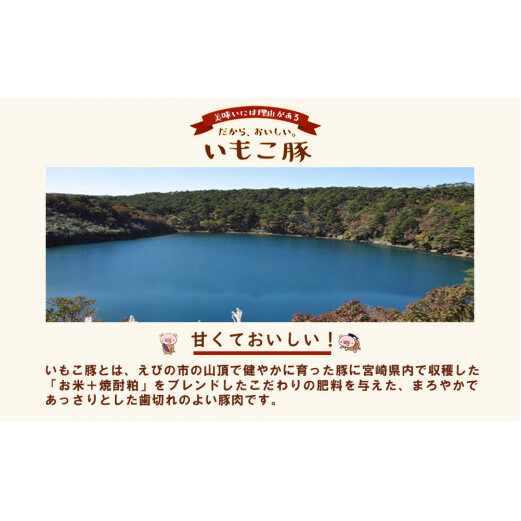 豚肉 いもこ豚 小間切れ 1.5kg 500g×3パック ぶたにく ブタ肉 細切れ こま切れ 冷凍 送料無料 薄切り 小分け 国産 九州 宮崎県_イメージ2