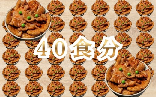 【7月配送】ホクレン 北海道のぶた丼 （2食入り）250g×20袋 北海道産 豚肉使用 産地直送 冷凍