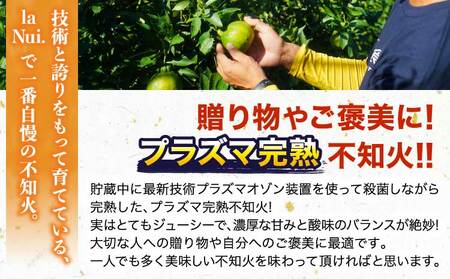 先行予約  プラズマ完熟熊本大見柑 (不知火) 約3kg（7～12玉前後） 2027年3月上旬から2027年4月中旬発送予定