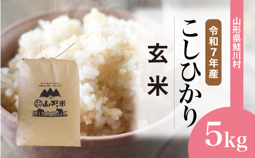＜令和7年産＞ こしひかり 【玄米】 5kg （5kg×1袋）＜配送時期選べます＞　山形県鮭川村