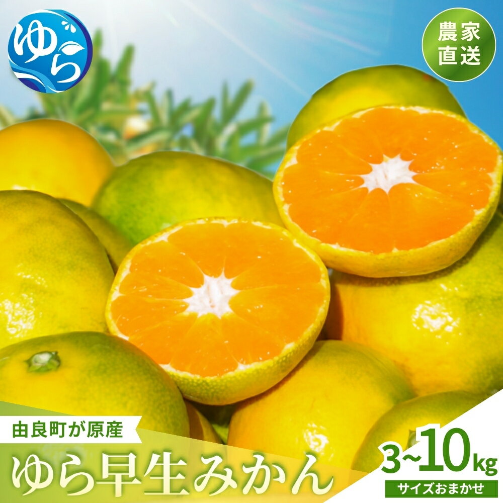 【ふるさと納税】 ゆら早生 ( 由良早生 ) みかん 2026農産物トレンド調査1位！ 評価★5 / 3kg 5kg 10kg 温州みかん 和歌山 由良町 甘い 農薬削減 ※2026年10月上旬頃～10月下旬頃に順次発送予定 //meisan //best