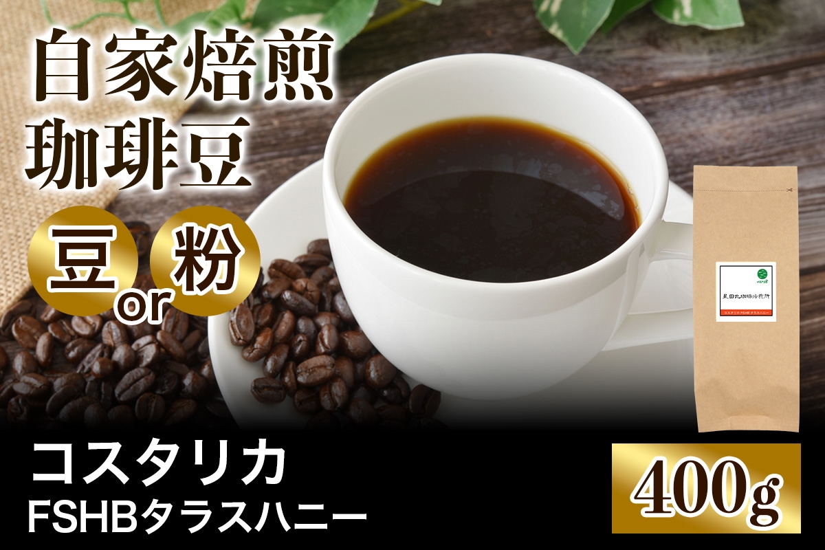 
                  ★注文後に焙煎★自家焙煎珈琲豆 コスタリカ FSHB ラクティック アナエロビック タラス ハニー 中深煎り 400g【豆のまま】【粉：ペーパードリップ用 中細挽き】｜珈琲 コーヒー 焙煎 [0467-0469]
                