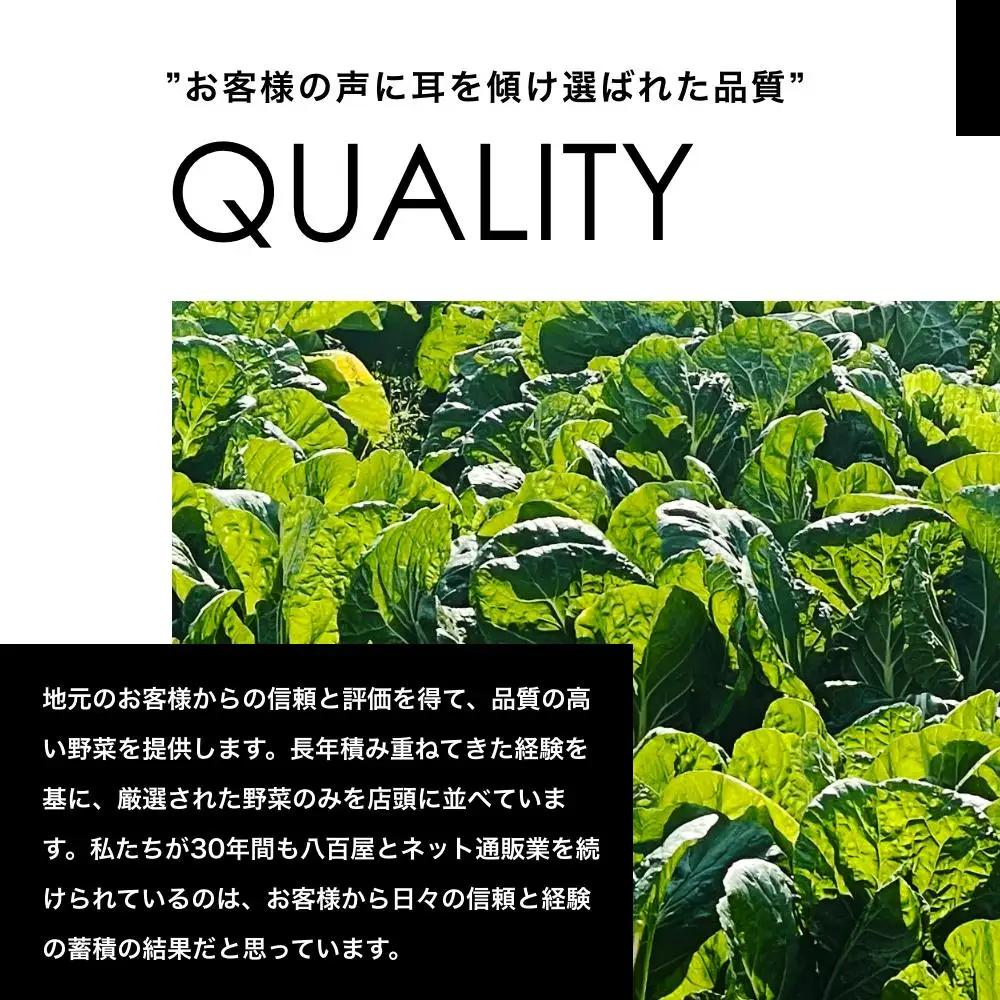 野菜セット 旬の新鮮野菜8種以上 印南町 人気 やさい　