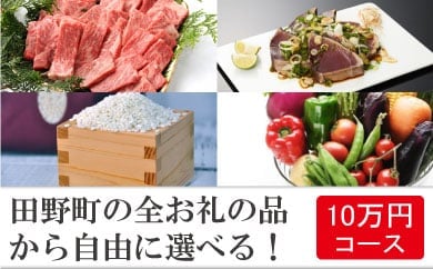 【四国一小さなまち】！年末限定！ 返礼品は後からゆっくり選べる寄附コース  ★A★ ～2023年度版～