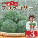 【ふるさと納税】 ブロッコリー 選べる容量 約 1kg 2kg 3kg 野菜 やさい 国産 朝採れ 新鮮 旬 季節野菜 産地直送 鮮度抜群 サラダ スープ 味噌汁 鍋 シチュー カレー 和食 洋食 中華 ビタミン 美容 健康 冷蔵 お取り寄せ グルメ 送料無料 徳島県 阿波市