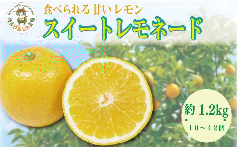 
            【2025年10月順次発送】 スイートレモネード 1.2kg (10～12個)  レモン れもん 檸檬 柑橘 フルーツ 果物 完熟 国産 新鮮 果汁 レモンサワー お酒 ハイボール ジュース 酎ハイ ケーキ 揚げ物 唐揚げ 小松島 徳島
          