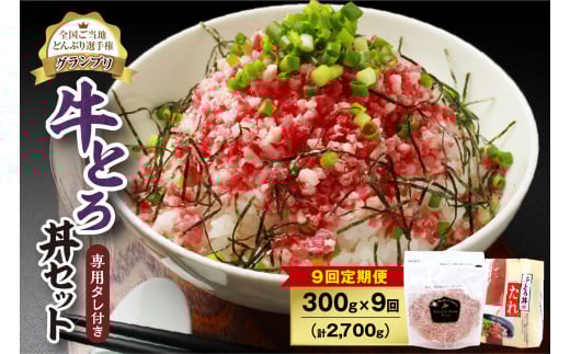 【9回定期便】人気の牛とろ丼セット 300g 専用タレ付き_S006-0147