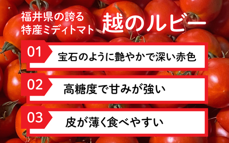 甘くて皮が薄く食べやすい　福井市産ミディトマト『越のルビー』2kg以上 [A-180003]/ 福井市産 農家直送 とまと トマト フルーツトマト ミニトマト 野菜 やさい 新鮮 産地直送 甘い 完熟