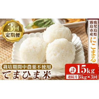 ふるさと納税 霧島市 3回定期便《令和7年産》てまひま米(品種:にこまる) (計15kg)【末蜜農園】K-198-E
