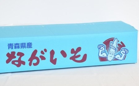 滋養強壮に！「長いも」（約5kg）