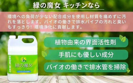 ＜2ヵ月毎定期便(全6回)＞食器用洗剤 緑の魔女キッチン5L×1本 | 台所洗剤 食器 キッチン
