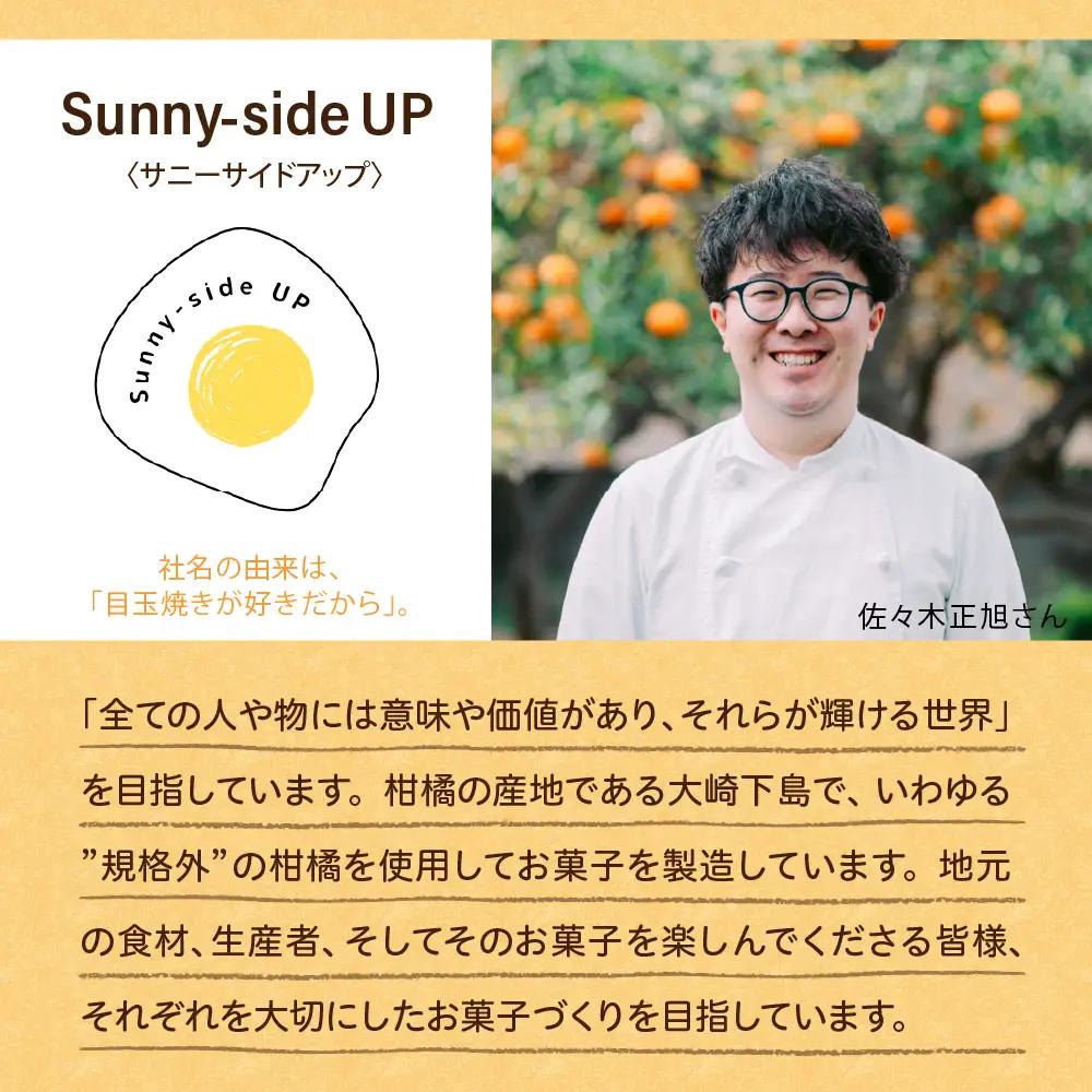 甘夏のパウンドケーキ 1本 広島県 呉市 カステラ ケーキ スイーツ