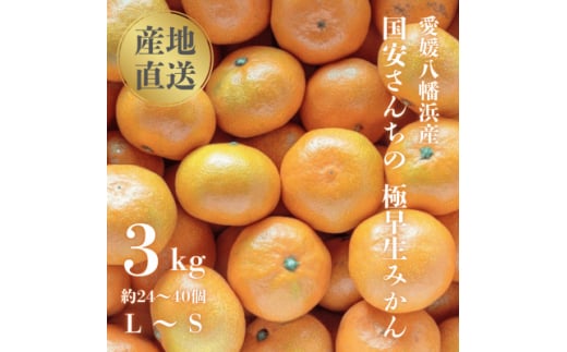 ＜創業85年 親子4代 愛媛みかん 一筋＞愛媛八幡浜産 極早生みかん 3kg＜C20-42＞【1594905】