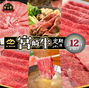 【ふるさと納税】【定期便・全12回】西ノ原牧場直送　宮崎牛シルバーコース（定期便 肉 国産 肉定期便 和牛 赤身 霜降り ブランド牛 宮崎 小林市 ステーキ 焼肉 すき焼き スライス 人気）