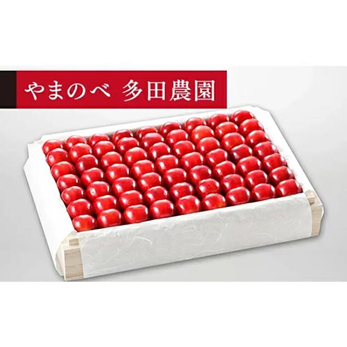 【ふるさと納税】《2026年先行予約》【特選「真夏のルビー紅姫」】桐箱詰 約1,100g【やまのべ多田耕太郎のさくらんぼ 多田農園】期間限定 数量限定 7月中旬より発送 山形県産 サクランボ フルーツ 果物 くだもの 贈答 F4A-0008