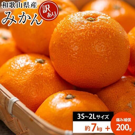 和歌山県産 糖度9.5度 以上 訳あり みかん 7kg 傷み補償+200g 3S ～ 2Ｌサイズ混合【MG58】みかん 柑橘 果物 甘い おすすめ 和歌山県 高野町