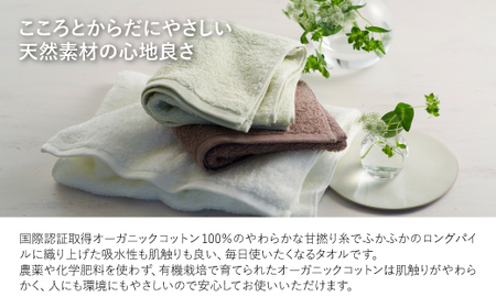 やわふわ甘撚りオーガニック フェイスタオル(各カラー×1枚・計3枚) 【m100-22-3P-D】【トクダ】