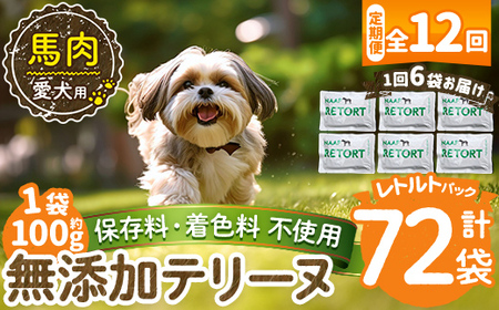 a1087-I 【12回定期便】＜保存料・着色料 不使用＞愛犬用無添加テリーヌ レトルトパック 馬テリーヌ6袋×12回(1袋約100g・合計約7.2kg)【Nフードサービス】姶良市 馬 テリーヌ 犬 ドッグ ペット フード エサ レトルト おやつ ごはん ご飯 間食 ご褒美