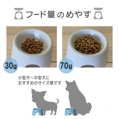 ふるさと納税 瑞浪市 美濃焼　陶器製ペット用フードボウル【高さを出した 台形フードボウル/ホワイト】 |  | 02