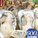 【ふるさと納税】牡蠣 かき 生鮮 日生産 計600g 300g×2パック 東海シープロ《1月中旬-3月末頃出荷》岡山県 備前市 ひなせ産 カキ 新鮮 牡蠣 海産物 海鮮 お取り寄せグルメ