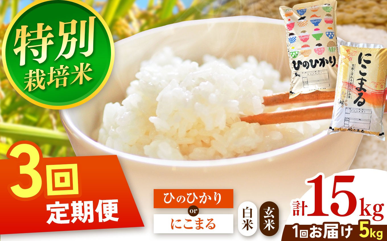 
            【定期便3回】選べる 品種 令和7年産 特別栽培米 ひのひかり ・ にこまる 5kg |  米 こめ お米 おこめ 精米 ひのひかり 特別栽培 5kg 3回 定期便 定期 熊本県 玉名市
          