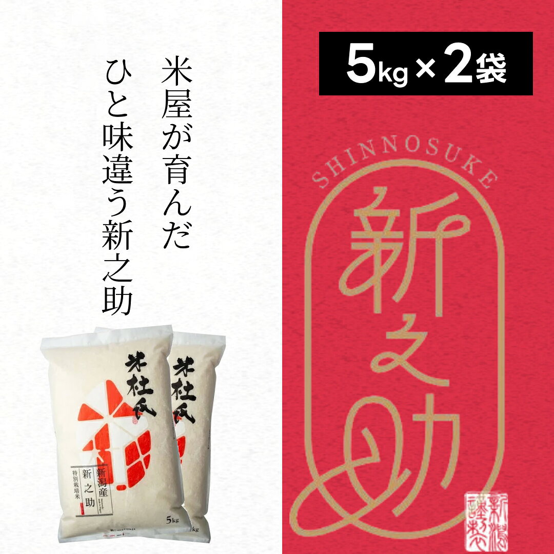 【ふるさと納税】【令和8年産新米】新之助 10kg （5kg×2袋） 特別栽培米 米杜氏 壱成 | 米 お米 こめ コメ 新潟県産米 阿賀野市産 ブランド米 白米 精米 新米 しんのすけ 大粒 甘み つや 光沢 弾力 ご飯 おにぎり お弁当 一人暮らし 家庭用 自宅用 新潟県 阿賀野市