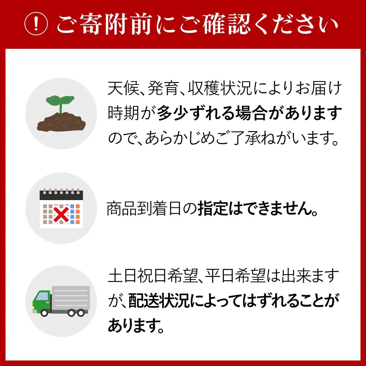 【2026年9月下旬より発送】北海道厚沢部町産 キタアカリ 約10kg【L・2Lサイズ】 ASO038