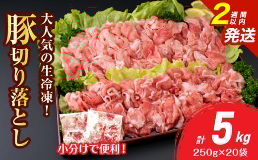 大人気 生冷凍 厳選 豚切り落とし 計5kg 豚肉 おすすめ 国産 食品 焼肉 肉じゃが 豚汁 野菜炒め おかず お弁当 晩ご飯 グルメ 小分け 個包装 真空パック おすそ分け お取り寄せ 新鮮 万能食材 宮崎県 日南市 送料無料_E51-25-2W