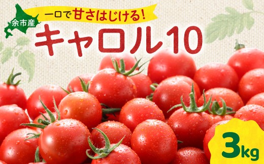 【先行予約：2026年9月上旬以降発送】余市町産丸型ミニトマト「キャロル10」3Kg 高糖度 自根栽培 濃厚 甘い 野菜 返礼品 寒暖差 皮薄 ジューシー サラダ_Y165-0002
