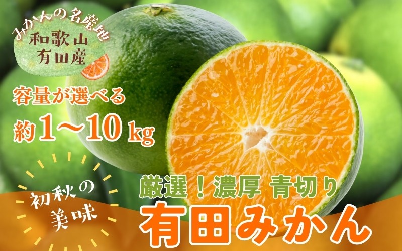 
                  特選 青切り有田みかん  ＼容量が選べる／ 約1kg ～ 10kg【2026年9月中旬～10月上旬頃に順次発送予定】
                