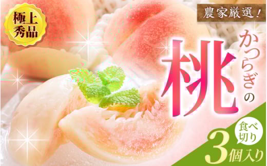 【先行予約】【厳選】あふれる果汁で口いっぱい！ 食べきりサイズ 和歌山県産 桃 3玉 2025年6月末頃～2025年8月末頃に順次発送予定（お届け日指定不可）/ 和歌山 桃 モモ フルーツ もも 白桃 果物 くだもの【kgr002】