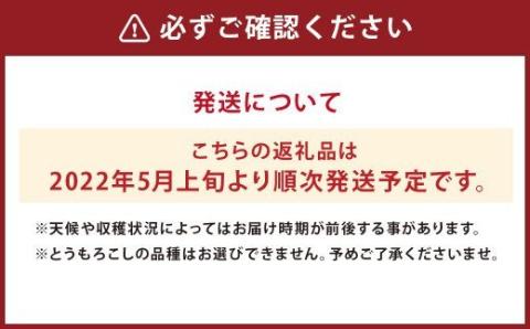 【2022年5月発送】とうもろこし 詰め合わせ(ハウスもの) 約4kg