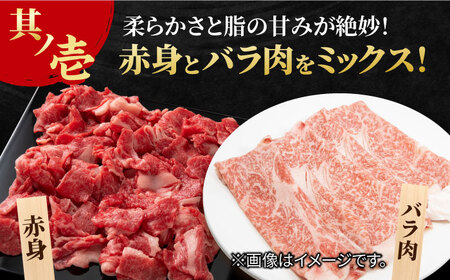 【全3回定期便】すき焼き しゃぶしゃぶに！佐賀牛 赤身とバラ肉の切り落とし 600g（300g×2P） 吉野ヶ里町/NICK’S MEAT[FCY014]