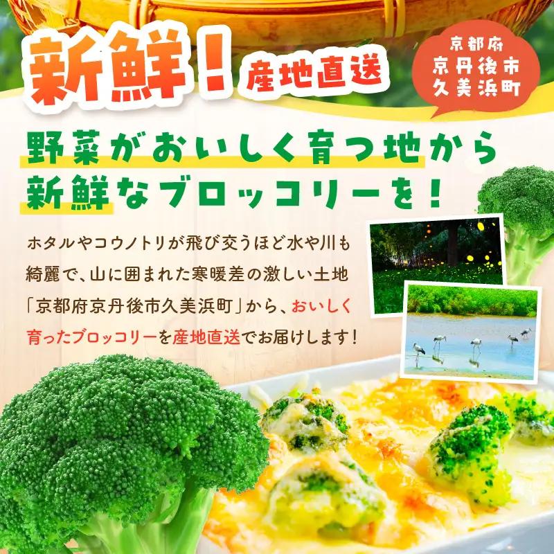 先行予約 もりもりブロッコリー 約2kg | 2026年11月上旬～発送