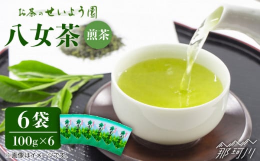 【豊かな香りにまろやかな旨味】八女茶 6袋 600gセット（100g×6袋）＜お茶の星陽園 ＞ [GAD001]